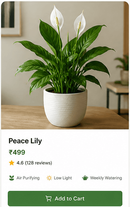 Step 02: Add to cart and proceed to secure checkout.